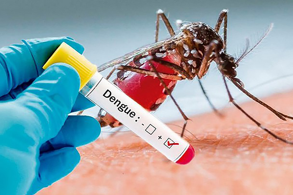 Xét nghiệm máu giúp phát hiện virus Dengue