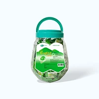 Kẹo ngậm thảo dược Eugica (hũ 400 viên)