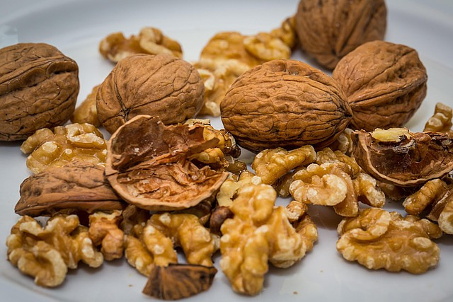 Free Walnut Nut photo and picture