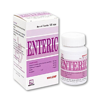 Enteric hỗ trợ điều trị viêm ruột cấp tính và mãn tính (Chai 100 viên)