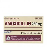 Viên nang Amoxicilin 250mg Mekophar kháng sinh điều trị nhiễm khuẩn (10 vỉ x 10 viên)