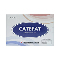 Catefat Cho-A điều trị đau thắt ngực, nhồi máu cơ tim (Hộp 20 ống x 10ml)