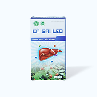 Cà gai leo Nam Dược hôc trợ bảo vệ gan (Hộp 60 viên)
