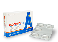 Thuốc kháng sinh Augclamox 1g hộp 2 vỉ x 5 viên
