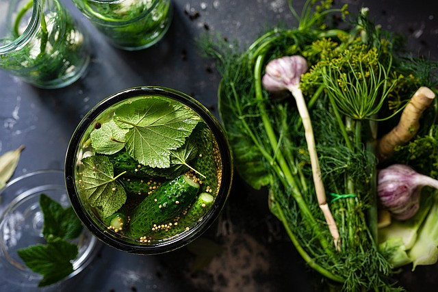 Free Pickled Cucumbers photo and picture