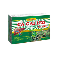 Cà gai leo xạ đen MEDIUSA hỗ trợ giải độc mát gan (hộp 60 viên nang mềm)