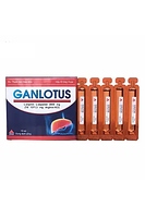 Ganlotus điều trị tình trạng suy giảm chức năng gan hộp 8 vỉ x 5 ống