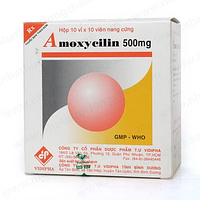 Thuốc Amoxycilin 500mg Vidipha điều trị nhiễm khuẩn (10 vỉ x 10 viên)
