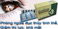 Godeye – Bổ mắt, phòng ngừa giảm thị lực, khô mắt
