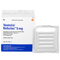 Ventolin Neb (N) Sol 5mg/2.5ml là dung dịch khí dung dùng để điều trị cơn hen cấp và co thắt phế quản, đóng gói hộp 6 vỉ x 5 ống.







