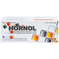 Hornol điều trị chứng đau dây thần kinh mặt, dây thần kinh sinh ba hộp 3 vỉ x 10 viên