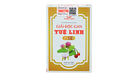Giải Độc Gan Tuệ Linh plus hỗ chợ chức năng gan  (hộp 60 viên nén)
