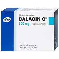 Dalacin C 300mg Pfizer điều trị nhiễm khuẩn (Hộp 2 vỉ x 8 viên)
