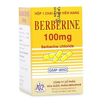 Viên nang Berberin 100mg Mekophar trị lỵ trực khuẩn, lỵ amip, viêm ruột, tiêu chảy (chai 100 viên)