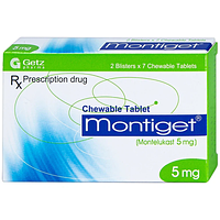 Montiget 5mg điều trị cho trẻ từ 2 - 5 tuổi trở lên viêm mũi dị ứng theo mùa hộp 2 vỉ x 7 viên nhai