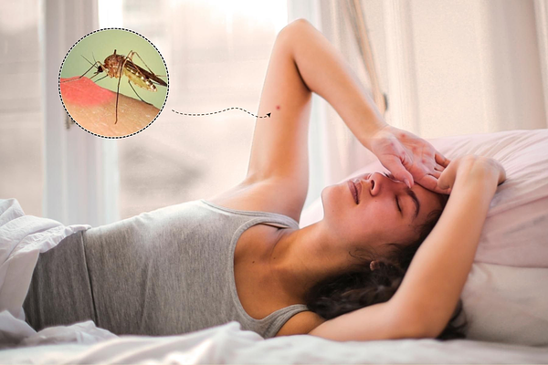sốt xuất huyết có lây không