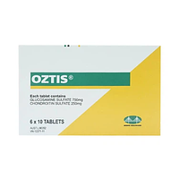 Oztis Bridge Healthcare giảm triệu chứng của viêm khớp gối nhẹ và trung bình (6 vỉ x 10 viên)