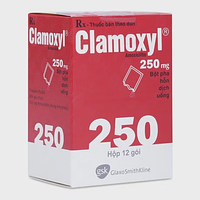 Bột pha hỗn dịch uống Clamoxyl 250mg GSK điều trị nhiễm khuẩn (12 gói)
