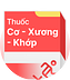Cơ - Xương - Khớp